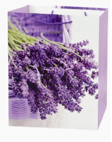 Пакет подарочный 