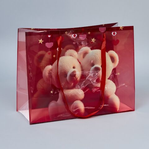 Пакет подарочный  