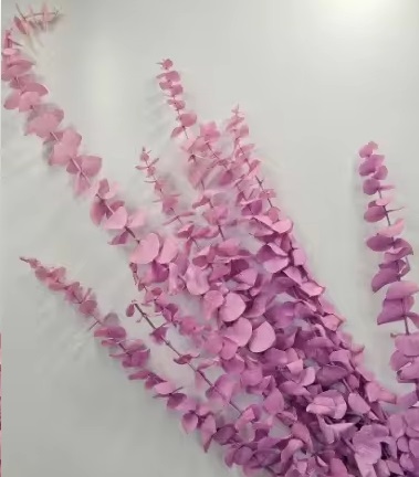 Эвкалипт Беби Блу Экстра 55-60см, 80гр, сиреневый