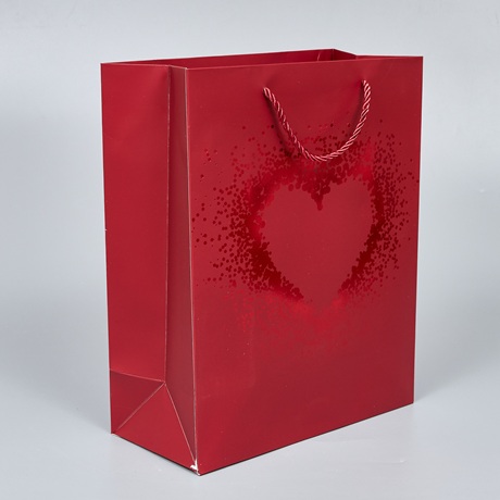 Пакет подарочный 