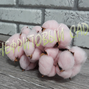 Хлопок (10шт в 1 букете) 25см, Светло-розовый