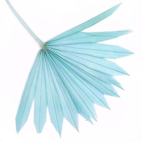 Лист пальмы Sun Spear, голубой