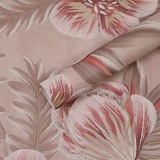 Набор плёнки 