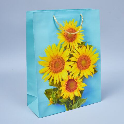 Пакет подарочный 