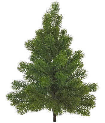 Ветка елки пушистая, 50см