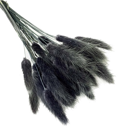 Лагурус 58-60см, 30шт/упак, черный