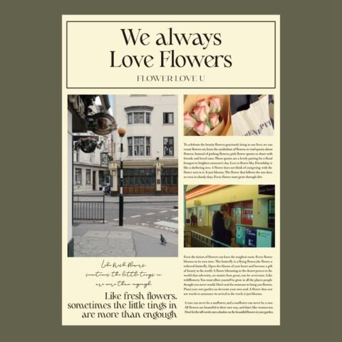 Набор пленки 