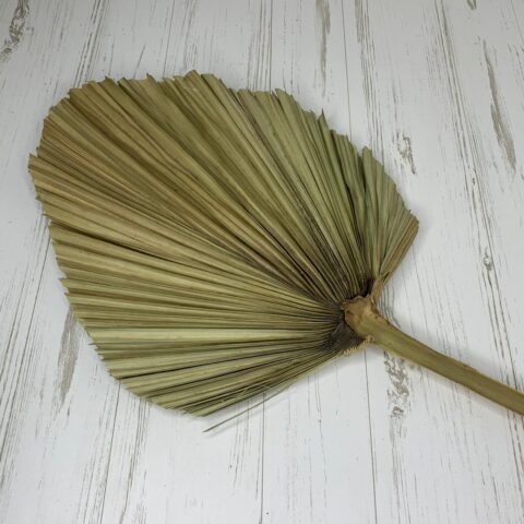 Лист пальмы 40*55см, натуральный