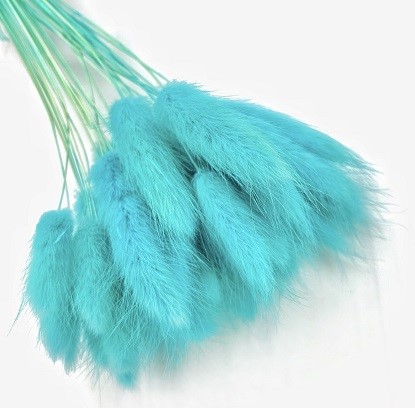 Лагурус 58-60см, 60шт/упак, бирюзовый